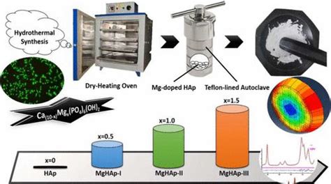  Hydroxyapatite Biocompatible Material for Bone Regeneration Applications?